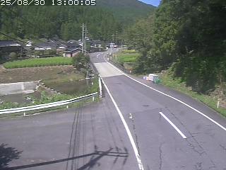 若桜町赤松