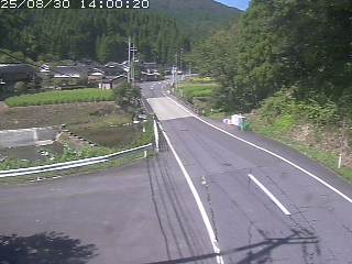 若桜町赤松