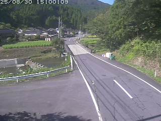若桜町赤松