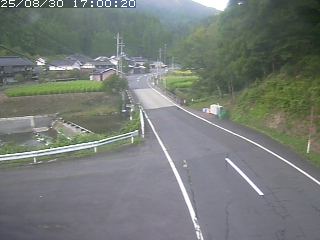 若桜町赤松