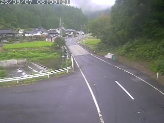 若桜町赤松