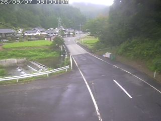 若桜町赤松