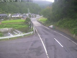 若桜町赤松