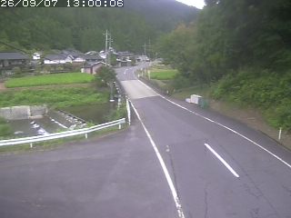 若桜町赤松