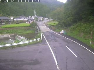 若桜町赤松