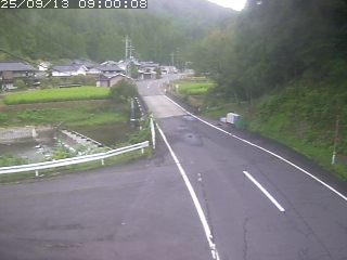 若桜町赤松