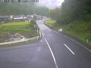 若桜町赤松