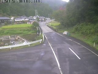 若桜町赤松