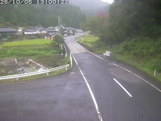 若桜町赤松