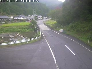 若桜町赤松