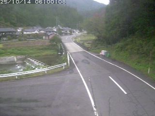 若桜町赤松