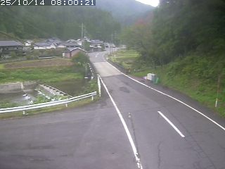 若桜町赤松