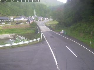 若桜町赤松