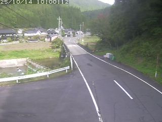 若桜町赤松