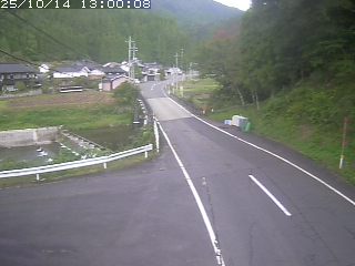 若桜町赤松