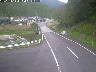 若桜町赤松