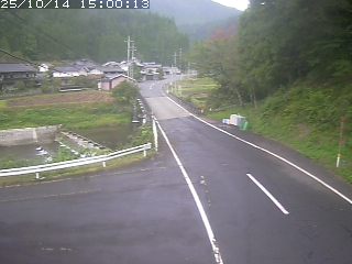 若桜町赤松