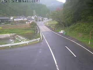 若桜町赤松