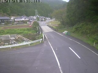 若桜町赤松