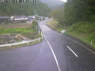 若桜町赤松