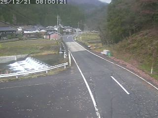 若桜町赤松