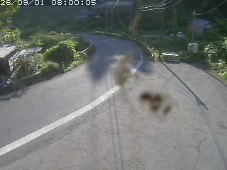 青谷町桑原