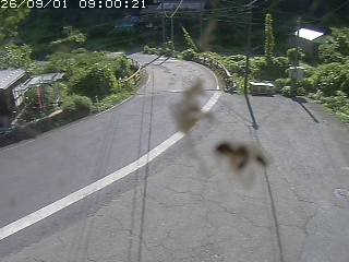 青谷町桑原