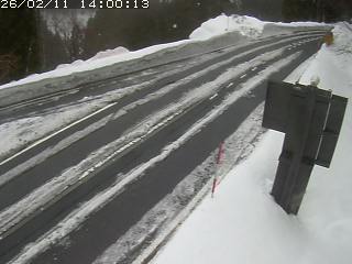 若桜町つく米・下