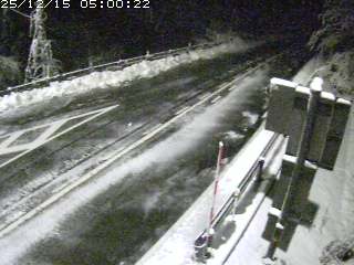 若桜町つく米・下