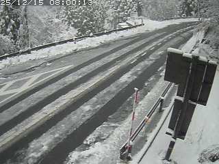 若桜町つく米・下