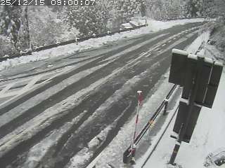 若桜町つく米・下