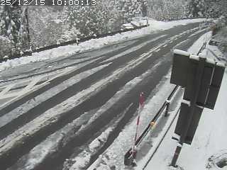 若桜町つく米・下