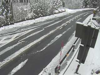 若桜町つく米・下