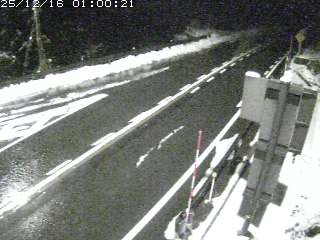 若桜町つく米・下