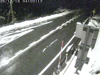 若桜町つく米・下