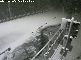 若桜町つく米・下