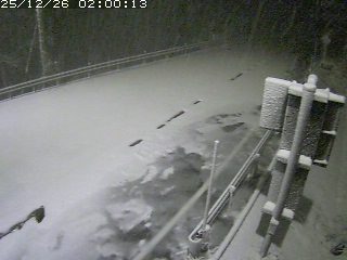 若桜町つく米・下