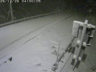 若桜町つく米・下