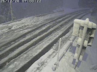 若桜町つく米・下