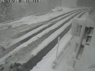 若桜町つく米・下