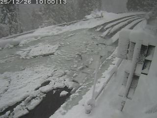 若桜町つく米・下