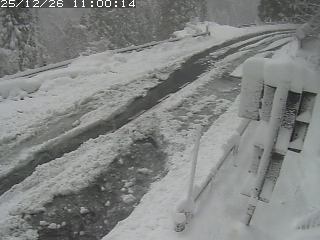 若桜町つく米・下