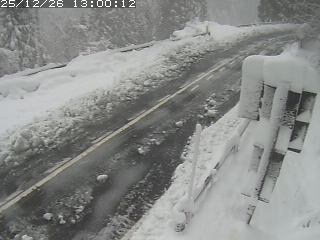 若桜町つく米・下