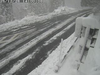 若桜町つく米・下