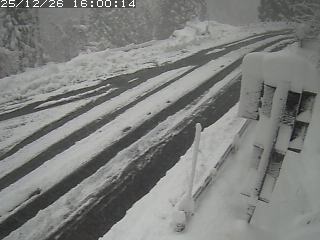 若桜町つく米・下