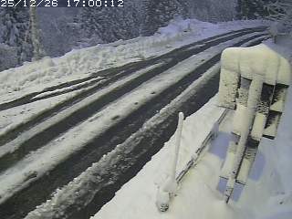 若桜町つく米・下