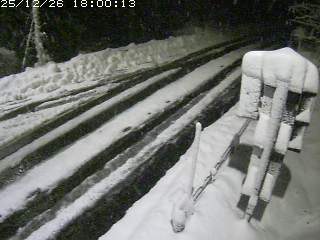 若桜町つく米・下