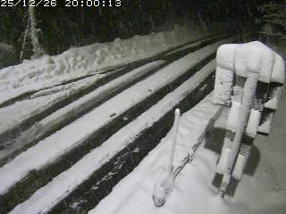 若桜町つく米・下