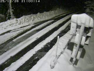 若桜町つく米・下