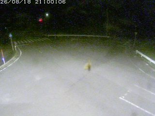日南町印賀